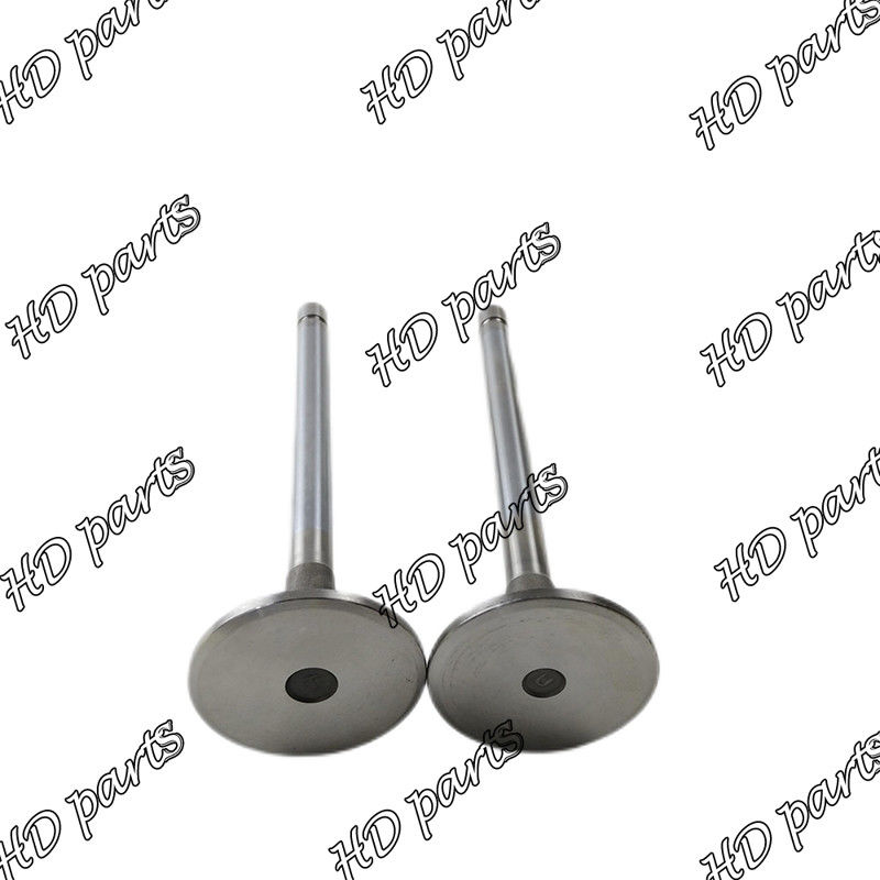 K19 Motor Zuigerklep Deel 3088393 3036298 3803515 2113311 3035110 207241 voor Cummins