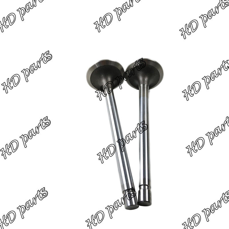K19 Motor Zuigerklep Deel 3088393 3036298 3803515 2113311 3035110 207241 voor Cummins