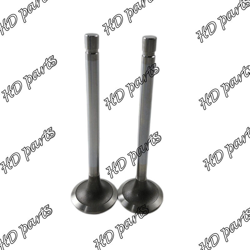 K19 Motor Zuigerklep Deel 3088393 3036298 3803515 2113311 3035110 207241 voor Cummins