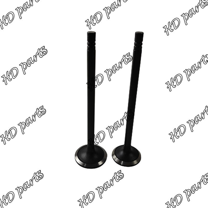 Diesel van S6B S6B3 Klep 33704-10102 36204-21100 36204-41101 36204-20100 voor Mitsubishi-motor