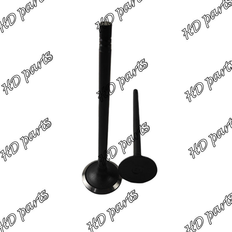 Diesel van S6B S6B3 Klep 33704-10102 36204-21100 36204-41101 36204-20100 voor Mitsubishi-motor