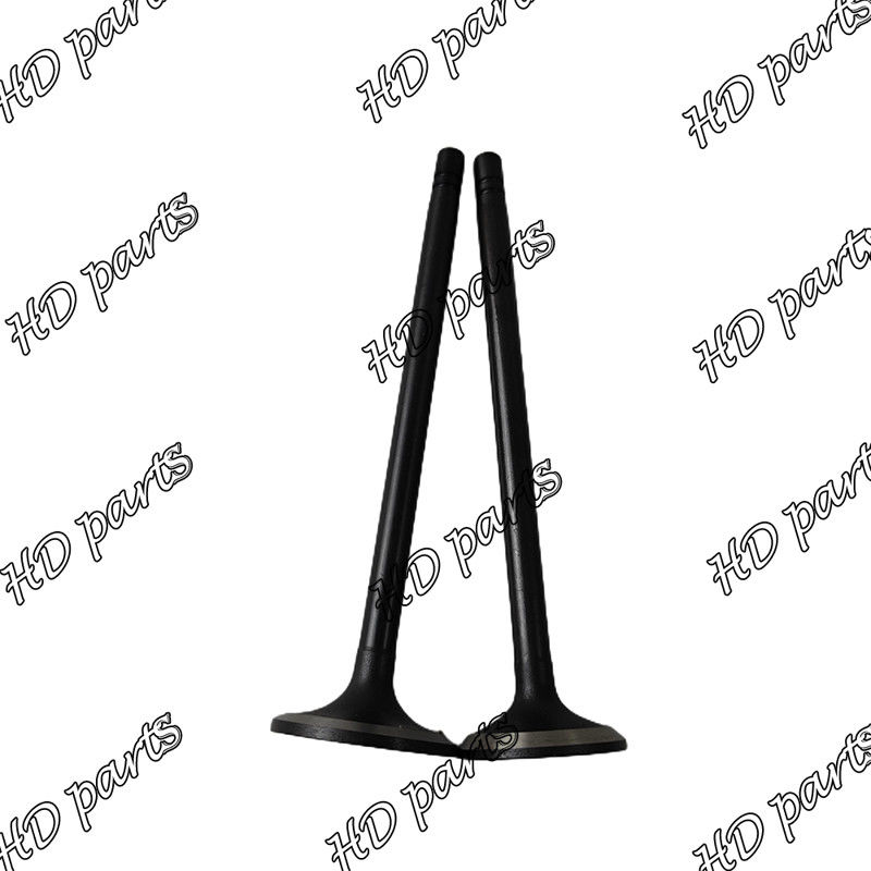 Diesel van S6B S6B3 Klep 33704-10102 36204-21100 36204-41101 36204-20100 voor Mitsubishi-motor