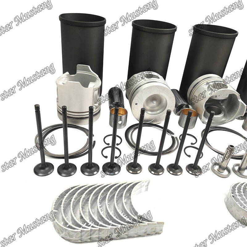 W04DT Overhaul Rebuild Kit Cylinder Liner Piston Met Pin Kit Valve Seat Valve Guide Gasket Kit Voor Hino Motor