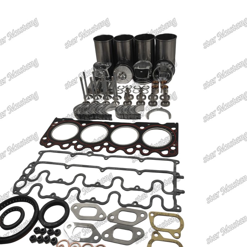 BF4M1011F Repair Kit Cylinder Liner Piston Kit Gasket Kit Valve Seat Guide Hoofd en Con Rod Lagers voor Deutz