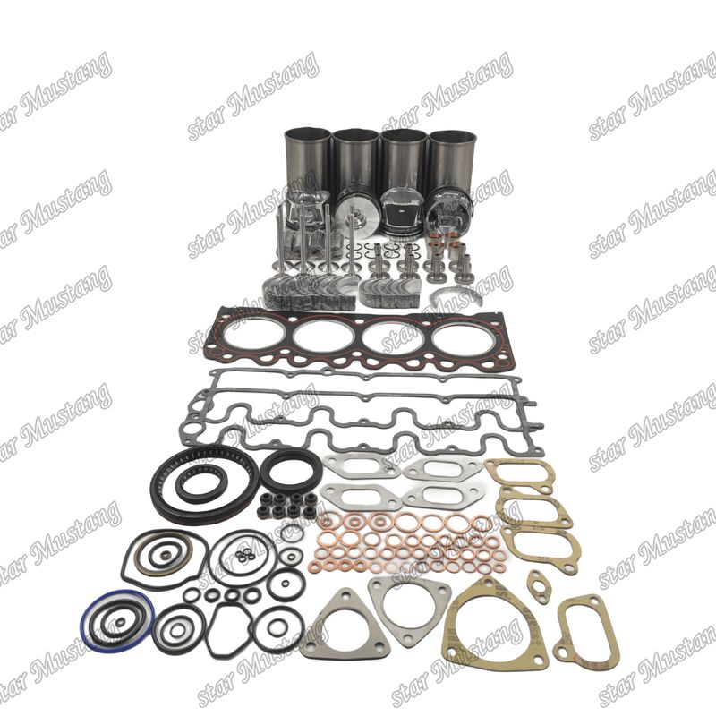 BF4M1011F Repair Kit Cylinder Liner Piston Kit Gasket Kit Valve Seat Guide Hoofd en Con Rod Lagers voor Deutz