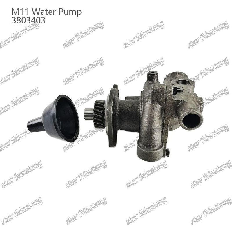 Waterpomp M11 4955706 4926553 Korte schacht voor CUMMINS Dieselmotor Reparatieonderdelen