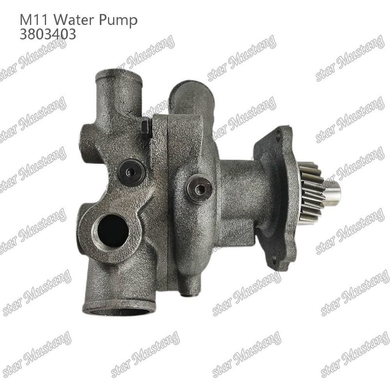 Waterpomp M11 4955706 4926553 Korte schacht voor CUMMINS Dieselmotor Reparatieonderdelen