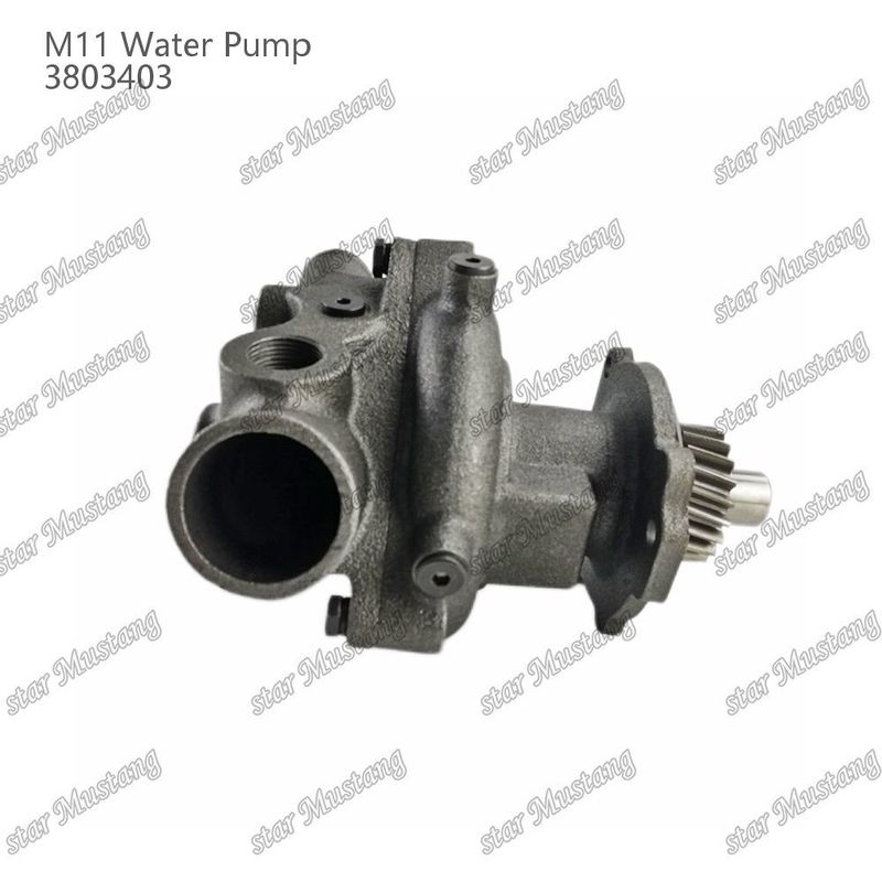 Waterpomp M11 4955706 4926553 Korte schacht voor CUMMINS Dieselmotor Reparatieonderdelen