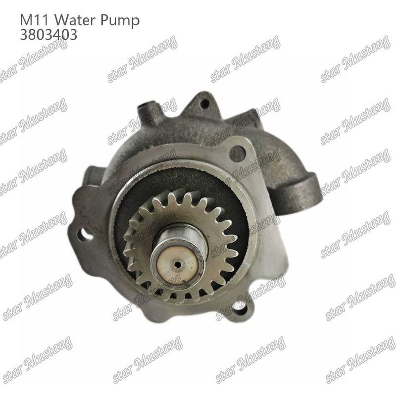 Waterpomp M11 4955706 4926553 Korte schacht voor CUMMINS Dieselmotor Reparatieonderdelen