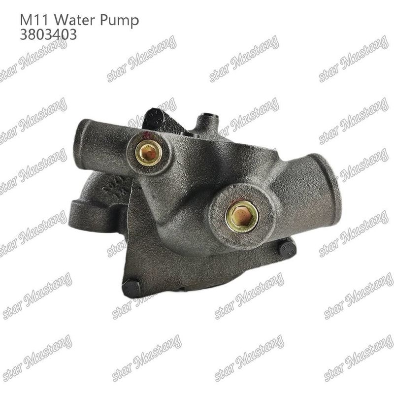 Waterpomp M11 4955706 4926553 Korte schacht voor CUMMINS Dieselmotor Reparatieonderdelen