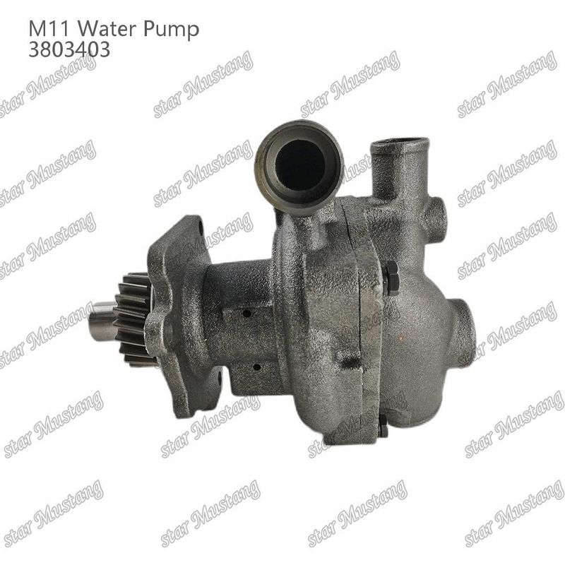 Waterpomp M11 4955706 4926553 Korte schacht voor CUMMINS Dieselmotor Reparatieonderdelen