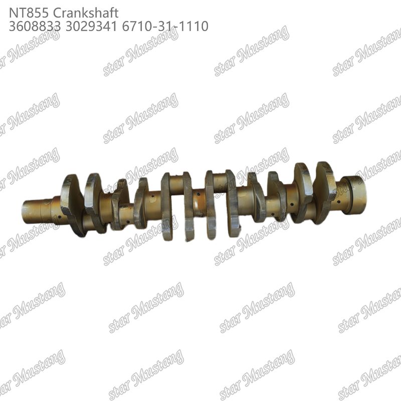 Crankshaft NT855 gesmeed staal 3608833 3029341 6710-31-1110 Voor onderdelen van Cummins dieselmotoren
