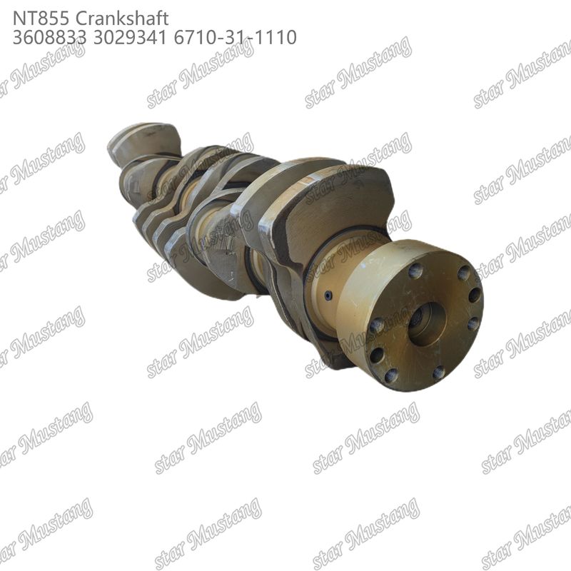 Crankshaft NT855 gesmeed staal 3608833 3029341 6710-31-1110 Voor onderdelen van Cummins dieselmotoren