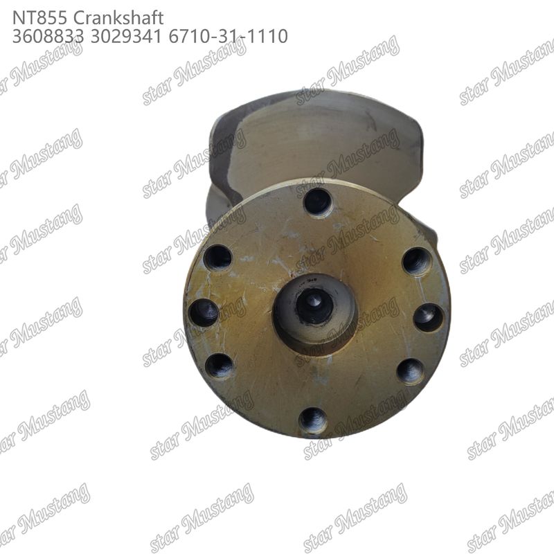 Crankshaft NT855 gesmeed staal 3608833 3029341 6710-31-1110 Voor onderdelen van Cummins dieselmotoren