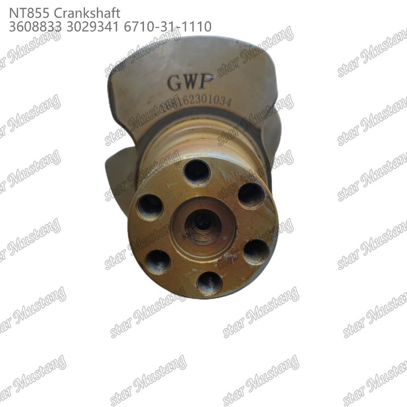 Crankshaft NT855 gesmeed staal 3608833 3029341 6710-31-1110 Voor onderdelen van Cummins dieselmotoren