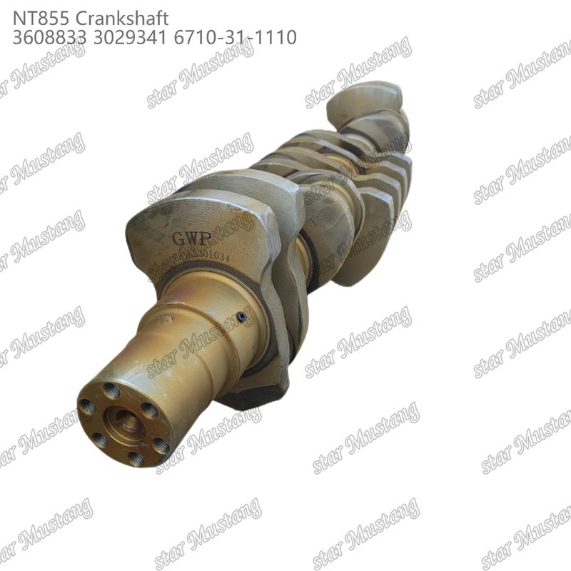 Crankshaft NT855 gesmeed staal 3608833 3029341 6710-31-1110 Voor onderdelen van Cummins dieselmotoren