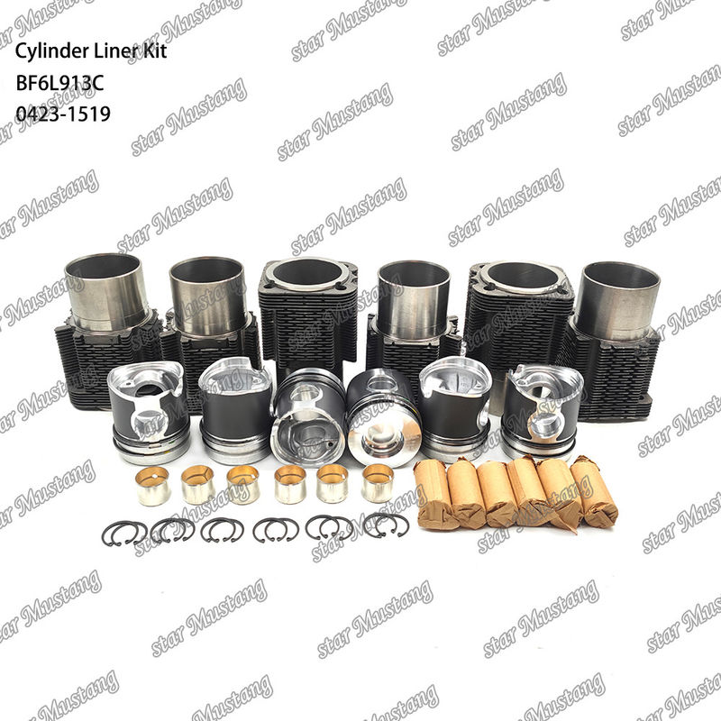 Nieuwe staat Dieselmotor type liner kit voor BF6L913C 0423-1519