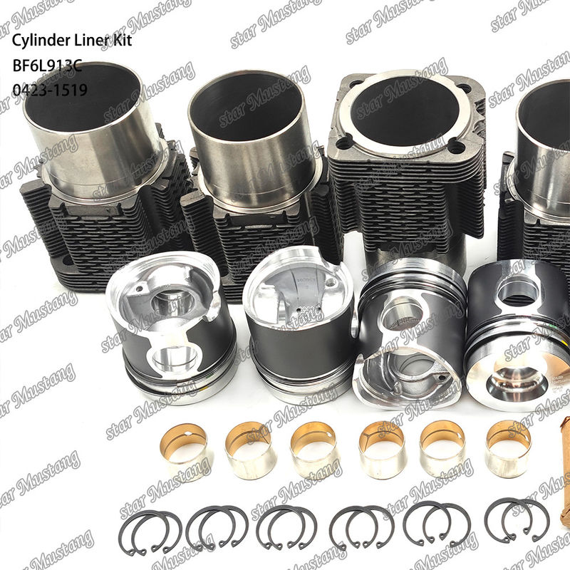 Nieuwe staat Dieselmotor type liner kit voor BF6L913C 0423-1519