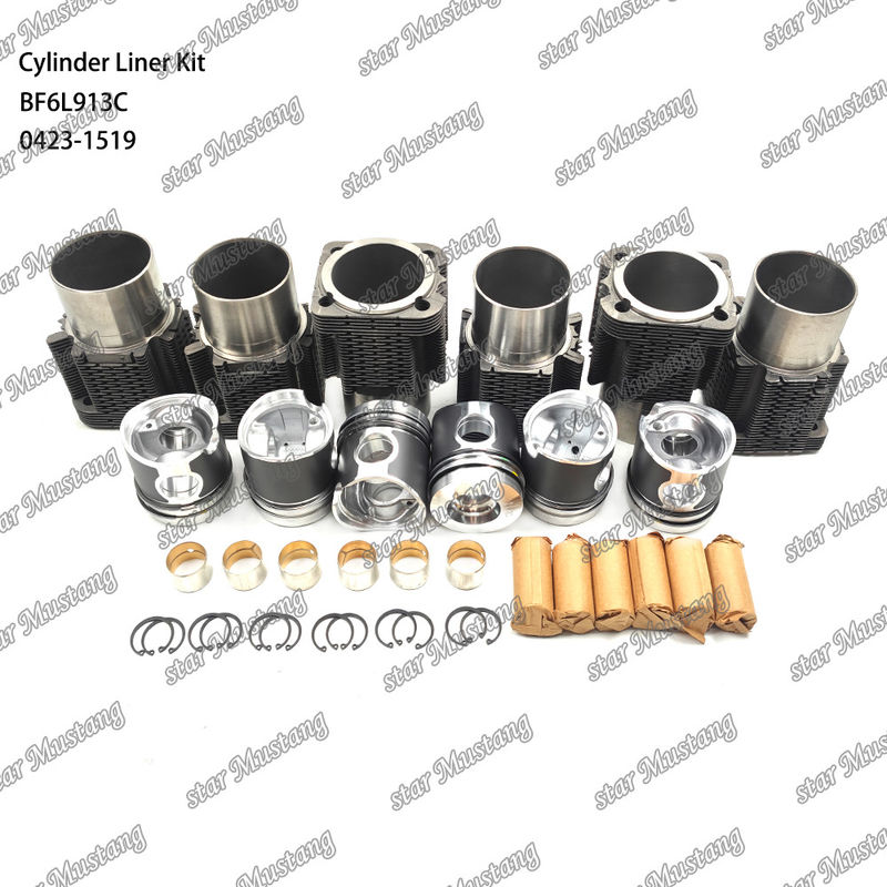Nieuwe staat Dieselmotor type liner kit voor BF6L913C 0423-1519