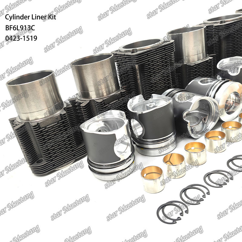 Nieuwe staat Dieselmotor type liner kit voor BF6L913C 0423-1519