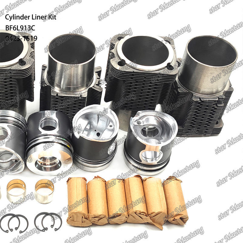 Nieuwe staat Dieselmotor type liner kit voor BF6L913C 0423-1519