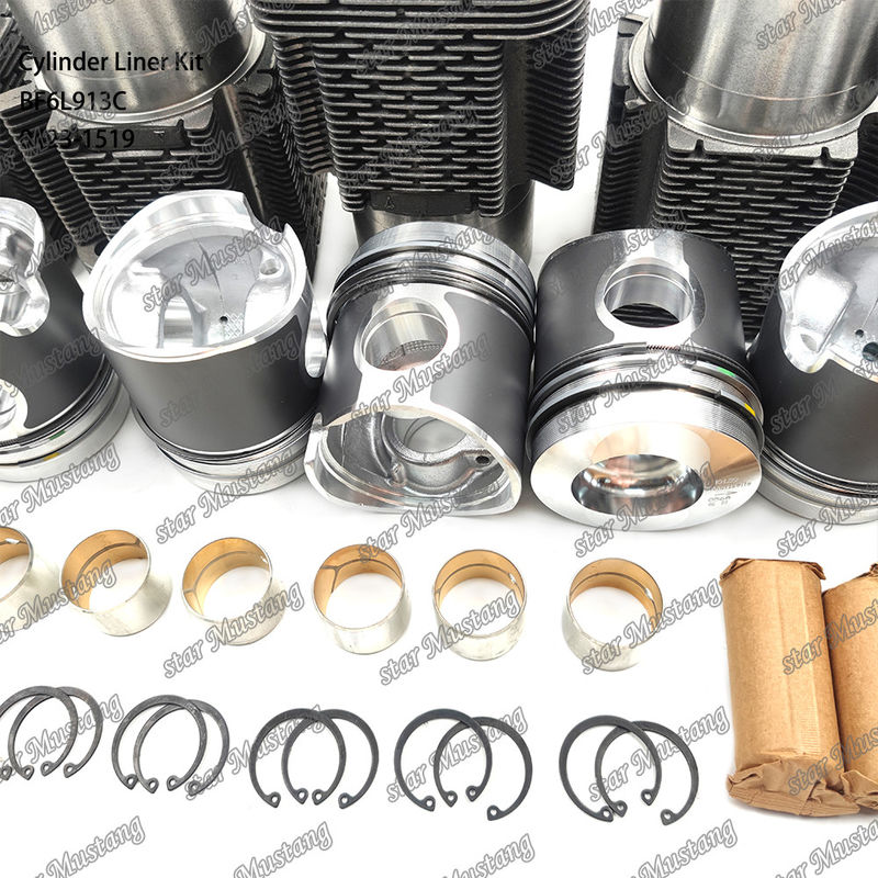 Nieuwe staat Dieselmotor type liner kit voor BF6L913C 0423-1519