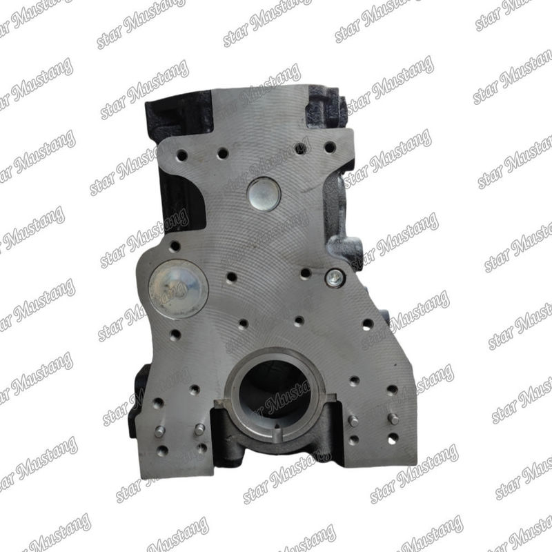 Cylinderblok 4TNE94 Dubbel waterkanaal voor graafmachine voor YANMAR motor reserveonderdelen