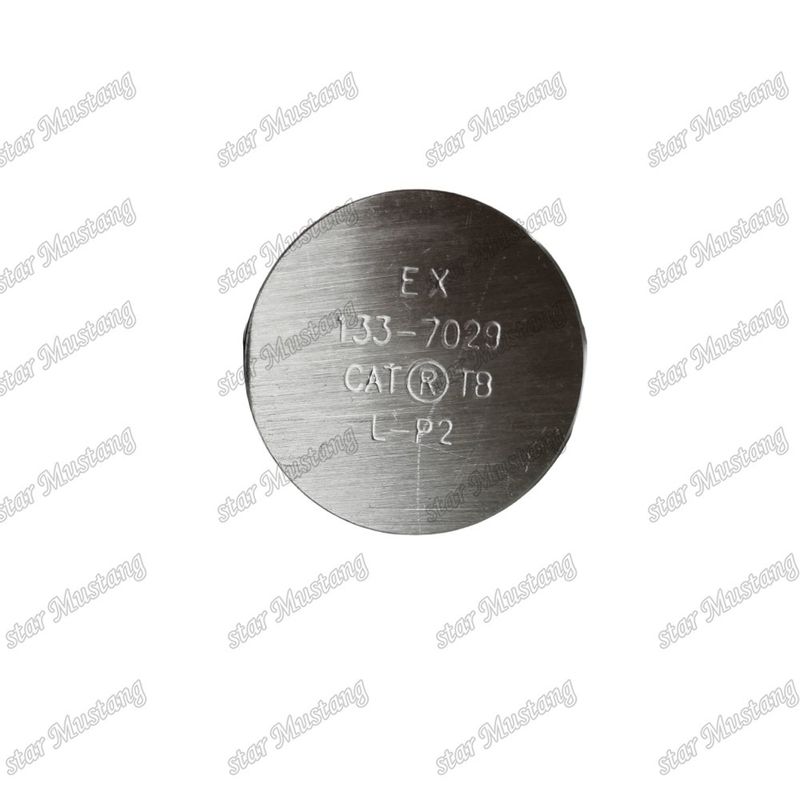 3176C C10 IN 7E9578 EX 133-7029 Valve voor Caterpillar motor reserveonderdelen