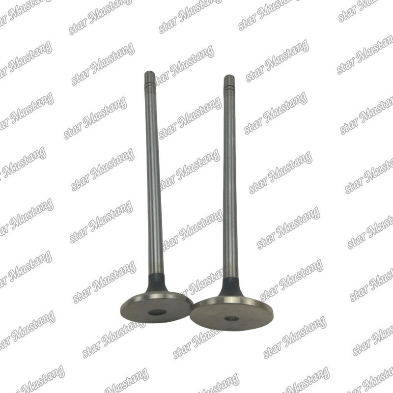 Valve C15 in 153-7023 ex 153-7024 Geschikt voor Caterpillar motoren