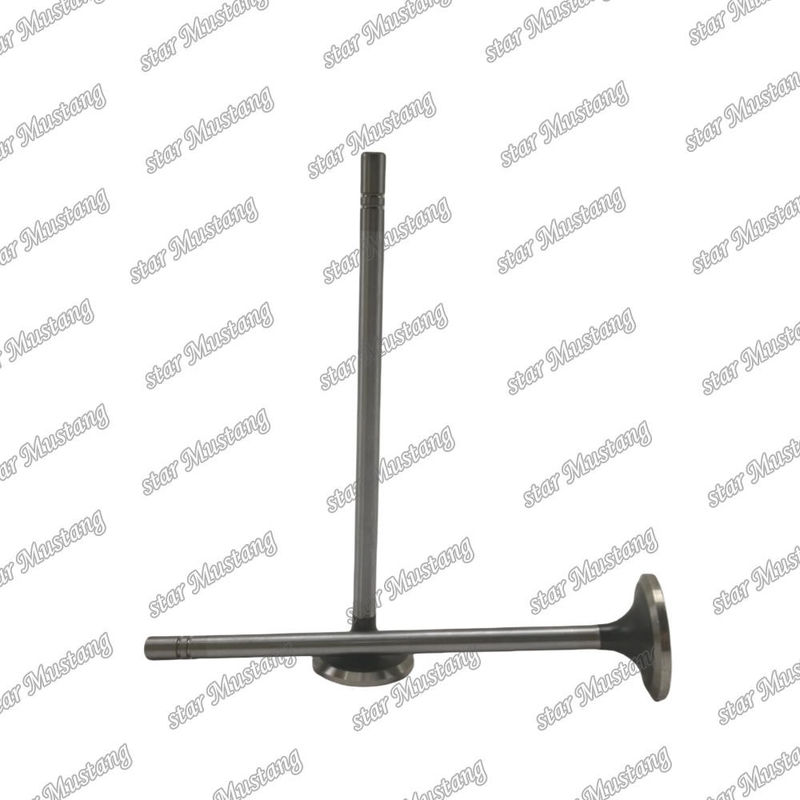 Valve C15 in 153-7023 ex 153-7024 Geschikt voor Caterpillar motoren