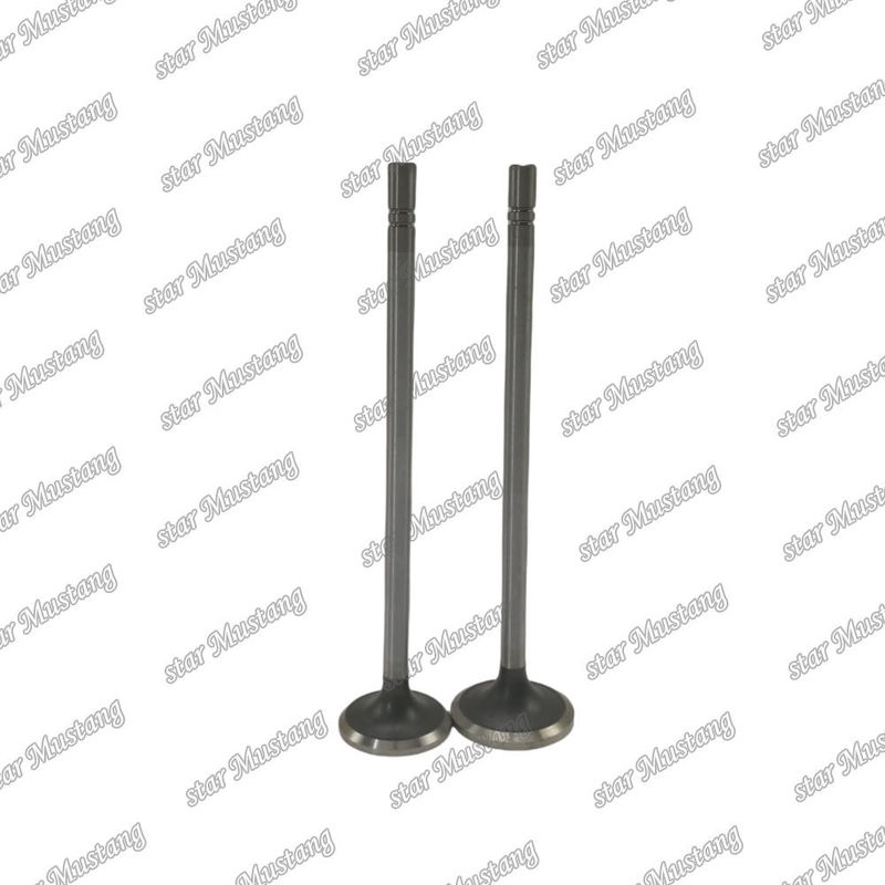 Valve C15 in 153-7023 ex 153-7024 Geschikt voor Caterpillar motoren