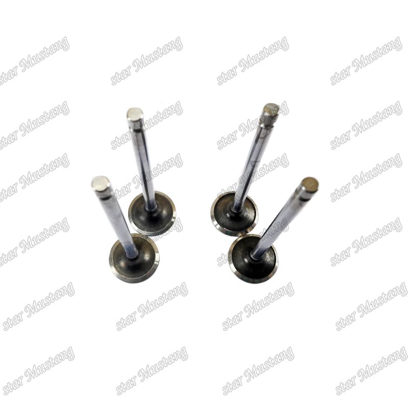 Original Komatsu motor reserveonderdelen Valve 6D107 IN 3802924 6754-41-4100 EX 3802967 6754-41-4200 Geschikt voor de markt