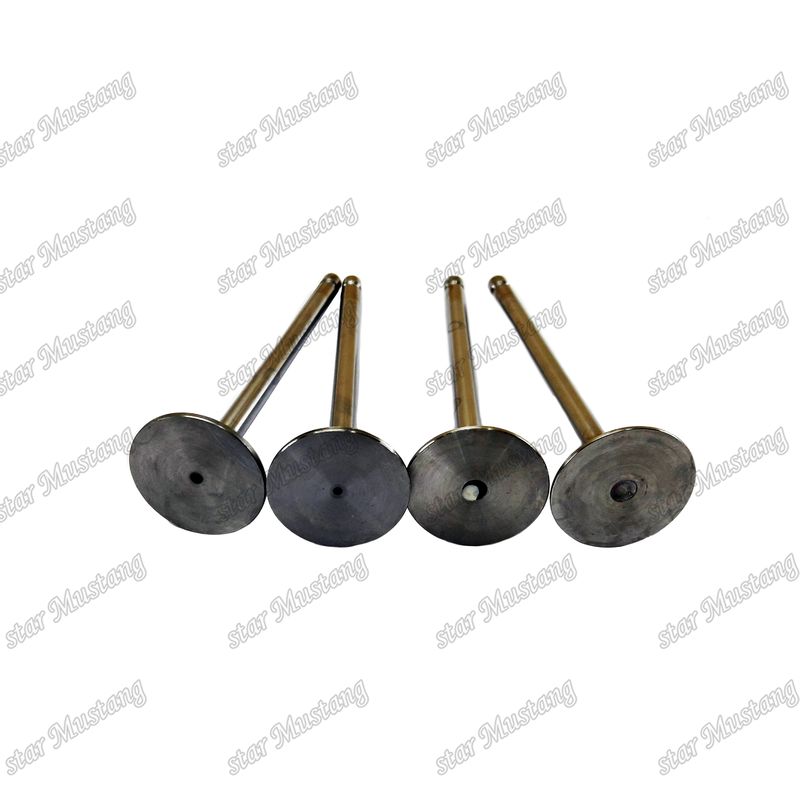 Original Komatsu motor reserveonderdelen Valve 6D107 IN 3802924 6754-41-4100 EX 3802967 6754-41-4200 Geschikt voor de markt