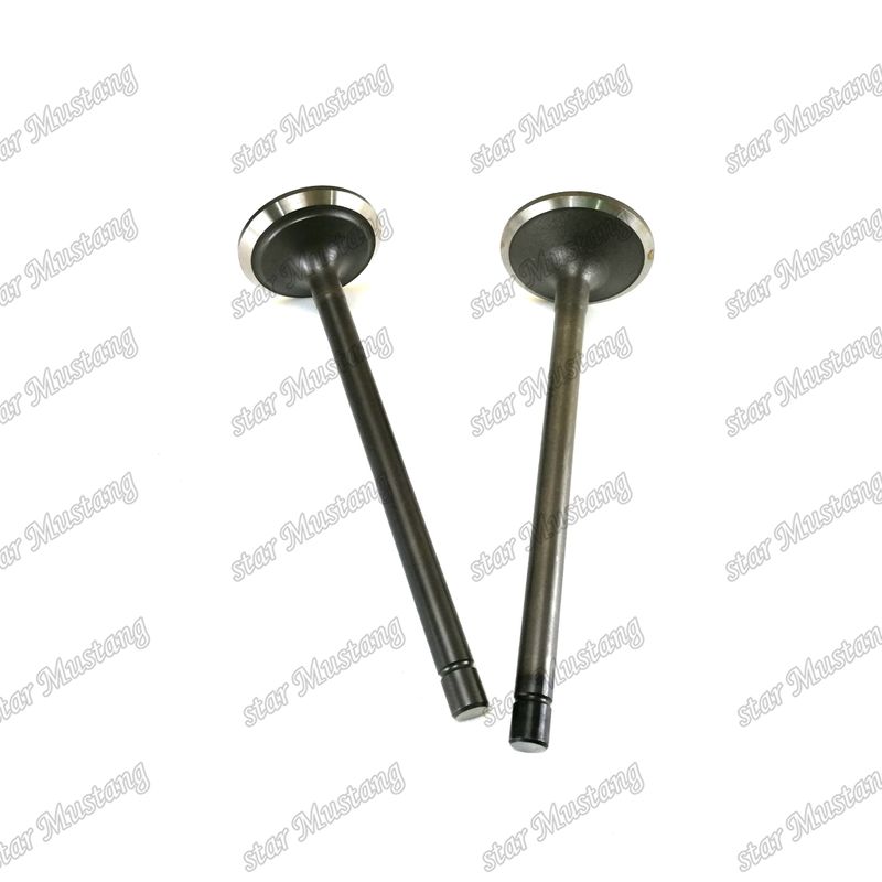 Onderdelen van dieselmotoren Valve voor Komatsu 6D140 EFI IN 6217-41-4110 EX 6215-41-4212