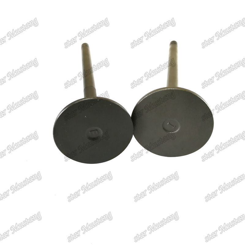Onderdelen van dieselmotoren Valve voor Komatsu 6D140 EFI IN 6217-41-4110 EX 6215-41-4212