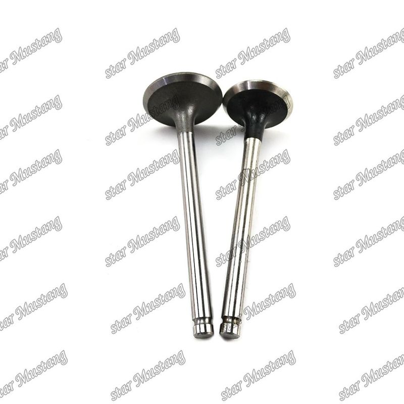 Valve 3KC2 IN 5-12551-024-0 EX 9-12552-240-0 voor Isuzu-motoronderdelen