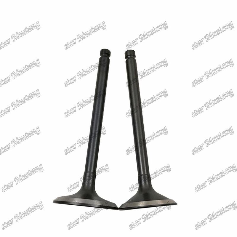Valve 3KR1 8941190881 8-94119088-1 5125520462 5-12552046-2 Voor Isuzu motoren