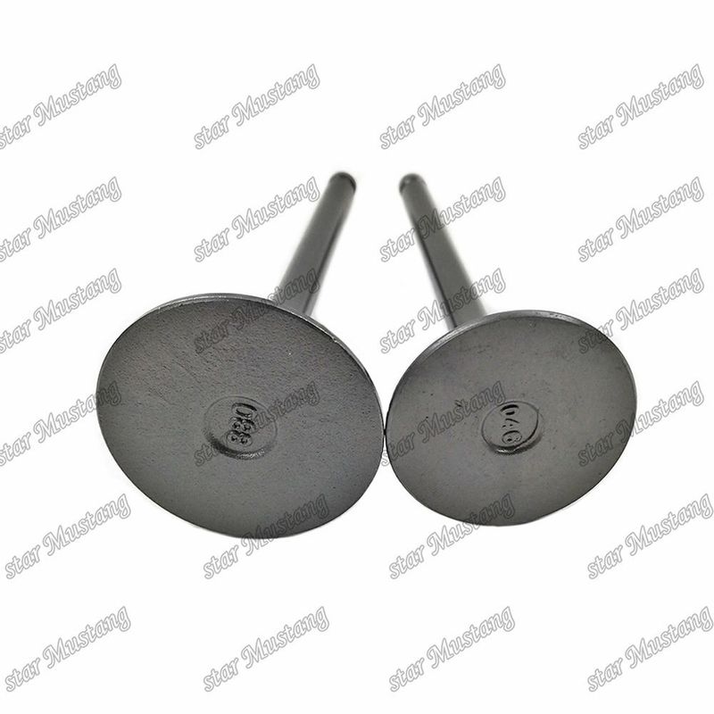 Valve 3KR1 8941190881 8-94119088-1 5125520462 5-12552046-2 Voor Isuzu motoren