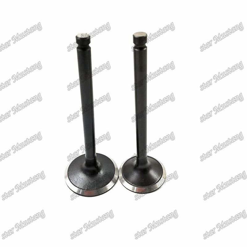 Valve 3KR1 8941190881 8-94119088-1 5125520462 5-12552046-2 Voor Isuzu motoren