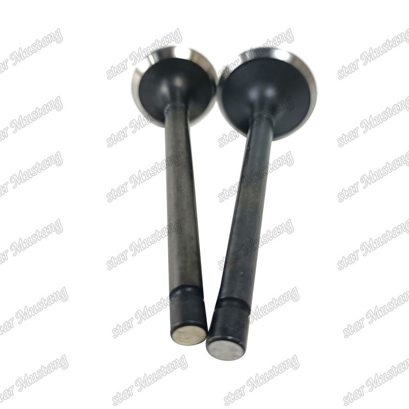 Motorklep 3LA1 8-97102-123-0 8-97045-410-2 voor Isuzu-motoronderdelen