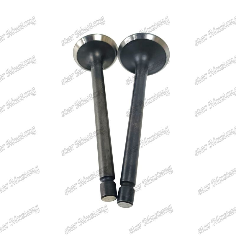 Valve 3LA1 8-97102-123-0 8-97045-410-2 Geschikt voor Isuzu motor reserveonderdelen