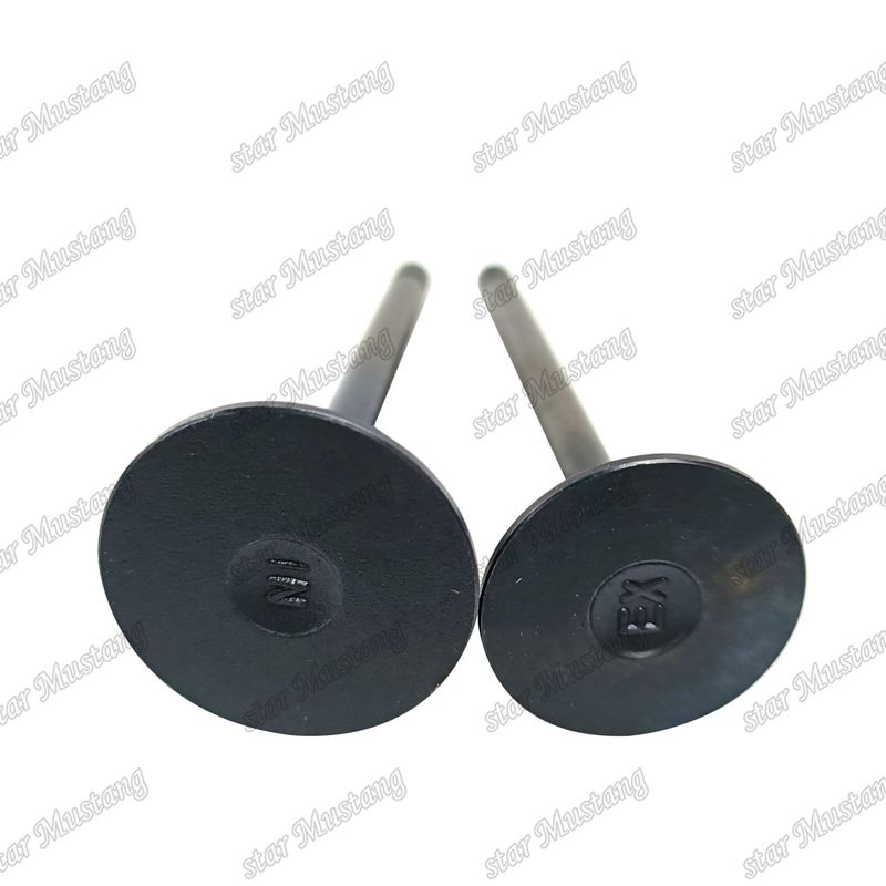 Valve 3LA1 8-97102-123-0 8-97045-410-2 Geschikt voor Isuzu motor reserveonderdelen