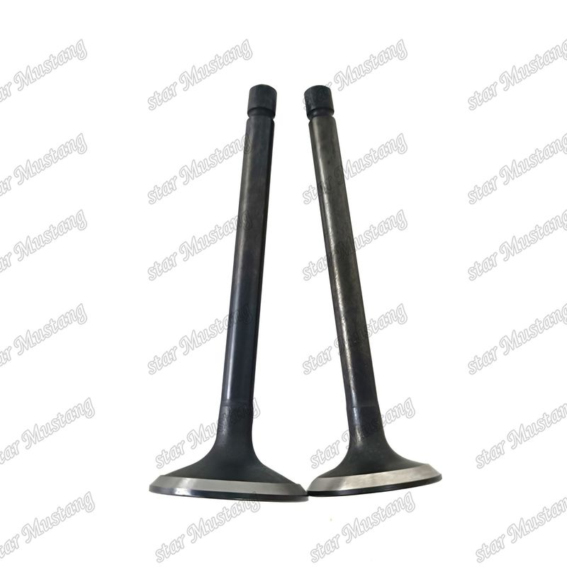 Valve 3LA1 8-97102-123-0 8-97045-410-2 Geschikt voor Isuzu motor reserveonderdelen