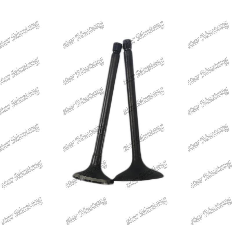 Valve 4JG2 8-97131729-2 8-97080214-1 Geschikt voor Isuzu motor onderdelen
