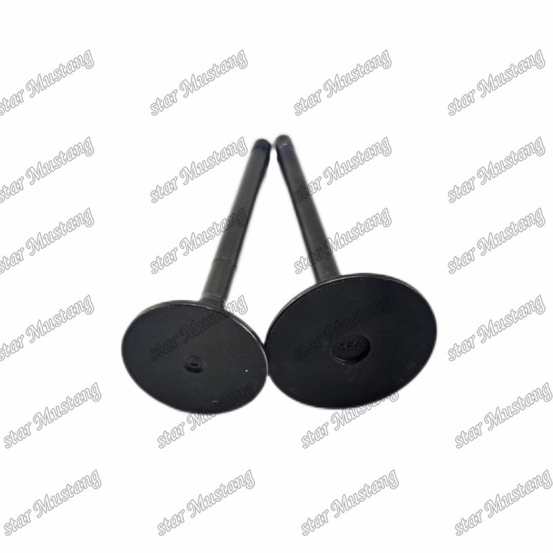 Valve 4JG2 8-97131729-2 8-97080214-1 Geschikt voor Isuzu motor onderdelen