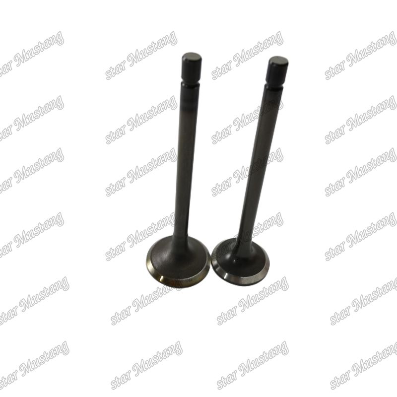 Valve 4JJ1 8-97309-675-1 8-97309-677-1 Voor Isuzu-motoronderdelen