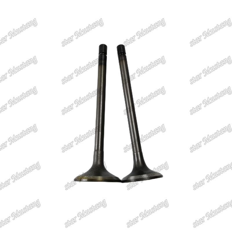 Valve 4JJ1 8-97309-675-1 8-97309-677-1 Voor Isuzu-motoronderdelen