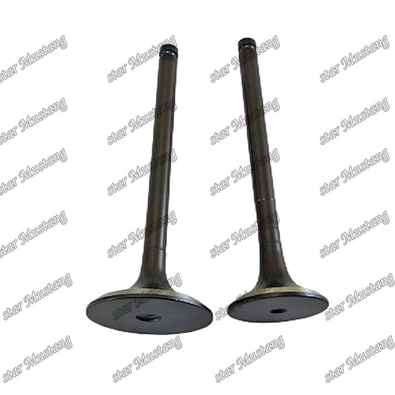 Valve 6BF1 IN 1-12551-139-0 EX 1-12552-706-0 Geschikt voor Isuzu-motoronderdelen