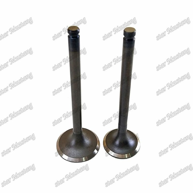 Valve C240 IN 5-12551-028-0 EX 5-12552-034-0 Geschikt voor Isuzu-motoronderdelen