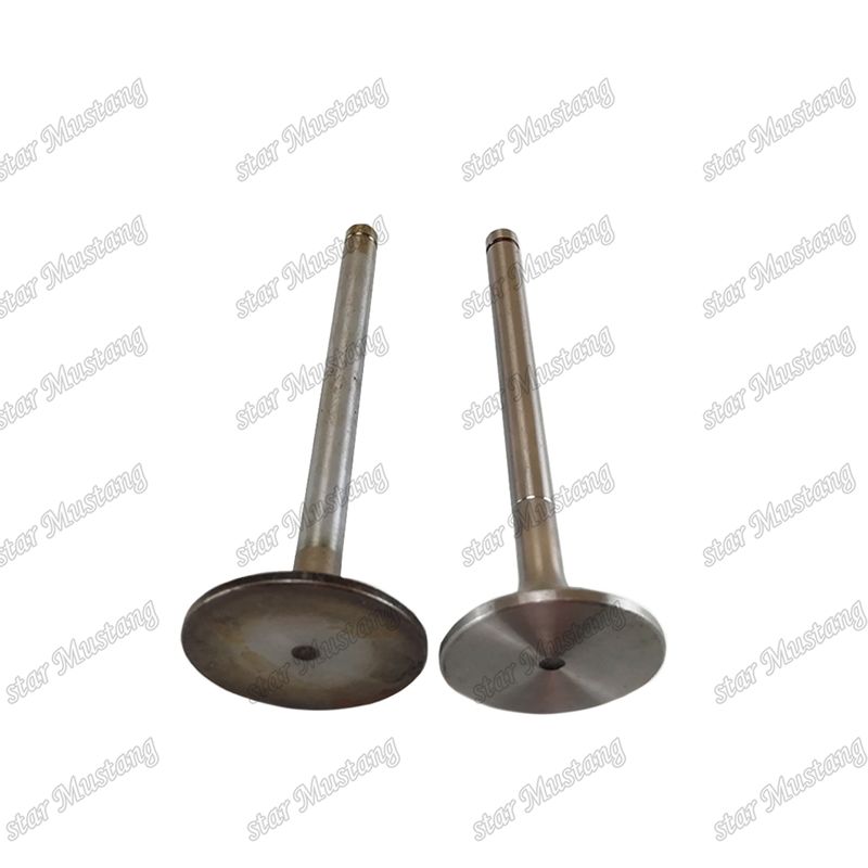 Valve EK100 EK130 EF750 13715-1060 13711-1450 Geschikt voor Hino motor reserveonderdelen